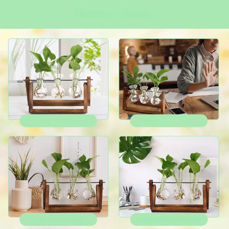 Decorative plant holder

